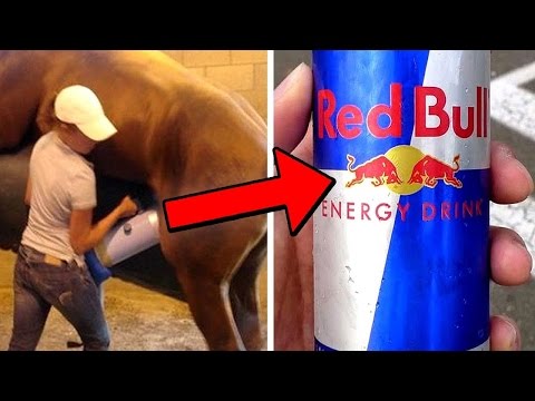 لايف ستايلشاهد: "دهن الماعز" أبرز مكونات أحمر الشفاه44210/0