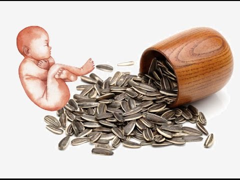 لايف ستايلبالفيديو : فوائد كبير لـ"اللب السوري" للمرأه الحامل45664/0