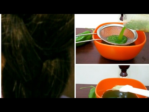 لايف ستايلشاهد: أفضل وصفة لشعر طويل وناعم بتكلفة بسيطة46696/0