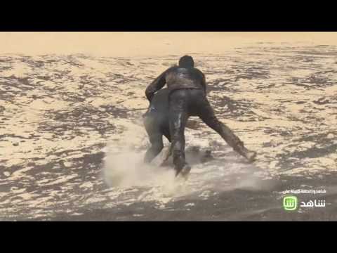 لايف ستايلشاهد: معركة بين ظافر العابدين ورامز جلال48549/0