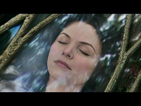 لايف ستايلشاهد: العثور على جثة امرأة جميلة عمرها 800 مليون عام49960/0