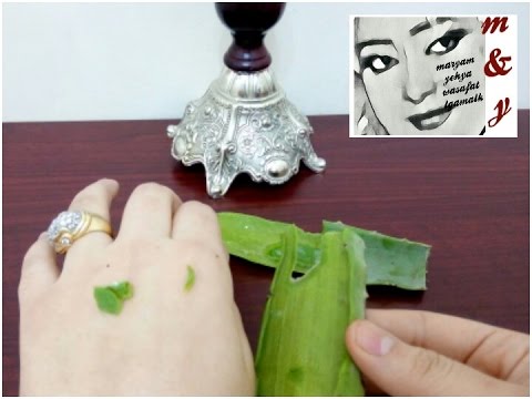 لايف ستايلنبته تخلصك من تساقط الشعر والفراغات في أسبوع50556/0