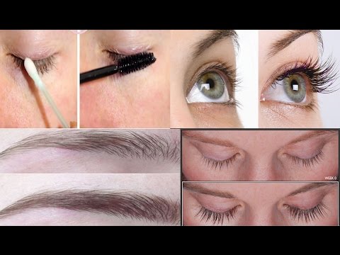 لايف ستايلزيت سحري لتطويل الرموش وتكثيف الحواجب50926/0