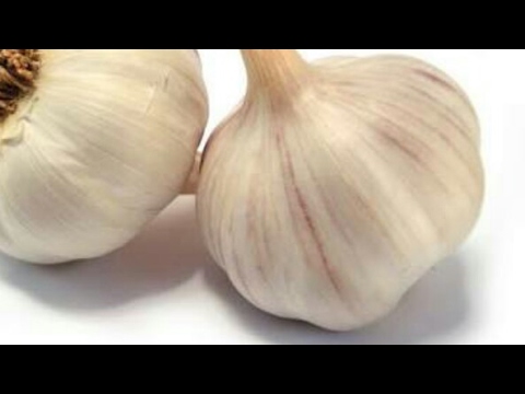 لايف ستايلكيفية فقدان دهون البطن وتقوية الصحة51304/0