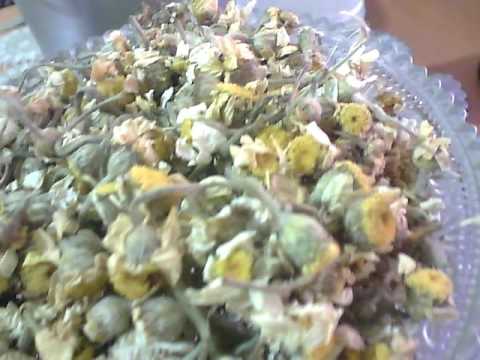 لايف ستايلغسول مهبلي رهيب للتخلص من الحكة والإفرازات المهبلية51539/0