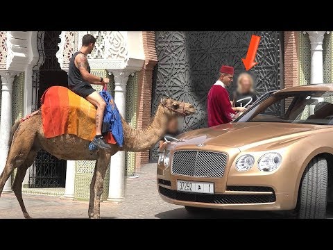 لايف ستايلشاهد: رجل طلب من هذه الفتاة مرافقته على "جمل" فماذا فعلت؟55513/0