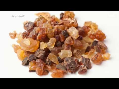 لايف ستايلبالفيديو: تعرّف على "صمغ المرة" وفوائده13148/0