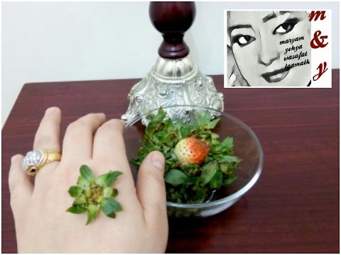 لايف ستايلوصفة اوراق الفاكهة لازالة حب الشباب58907/0