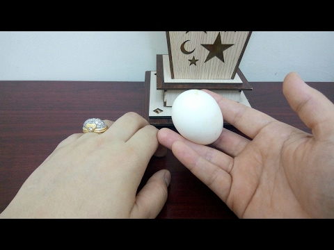 لايف ستايلأفضل وصفة لشعر كالحرير باستخدام بيضة واحدة59677/0