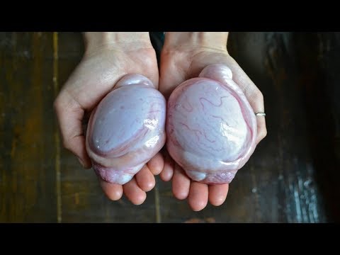 لايف ستايلشاهد : ما يحدث لجسمك اذا أكلت خصية الخروف60751/0