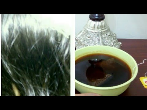 لايف ستايلبالفيديو: وصفة أميركية للتخلص من شيب الشعر خلال ساعة61181/0