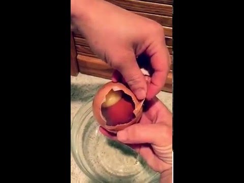 لايف ستايلشاهد: بيضة دجاج عملاقة تصدم مزارعَا أميركيًا62375/0