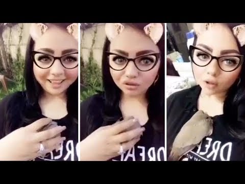 لايف ستايلشاهد: جيهان هاشم تلاعب الحمامة "فختاية" ونامت على صدري64980/0