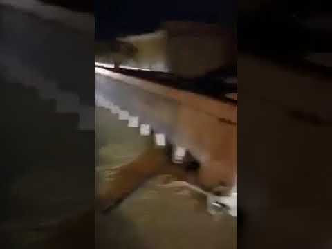 لايف ستايلشاهد: نهاية مروعة لفتاة قادت سيارة والدها في السعودية65486/0