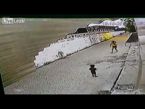 لايف ستايلشاهد: لص يُهاجم امرأة ويسرق هاتفها عنوة67440/0