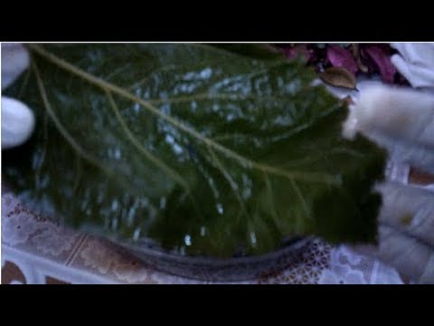 لايف ستايلتخلصي من شيب الشعر نهائيًا69507/0