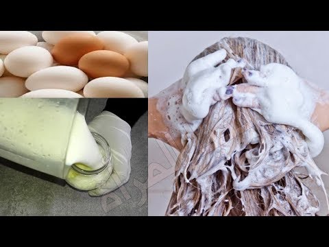 لايف ستايلشامبو البيض لفرد وتنعيم الشعر في دقيقة وعلاج التساقط70575/0