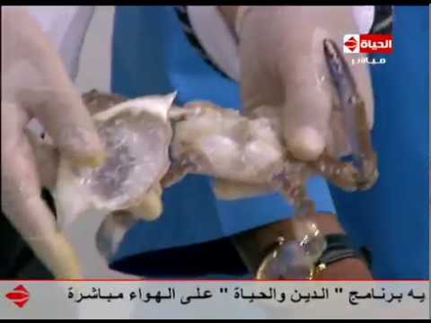 لايف ستايلشاهد: طريقة "كابوريا محشية مرتة"14409/0