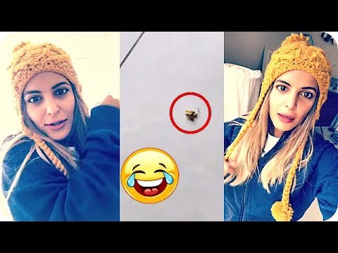 لايف ستايلتوقف بيبي عبدالمحسن عن الغناء بسبب صرصار75424/0