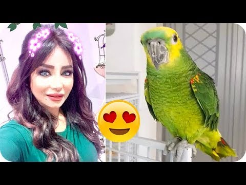 لايف ستايلردة فعل ببغاء لجين عمران عند عودتها من السفر77086/0