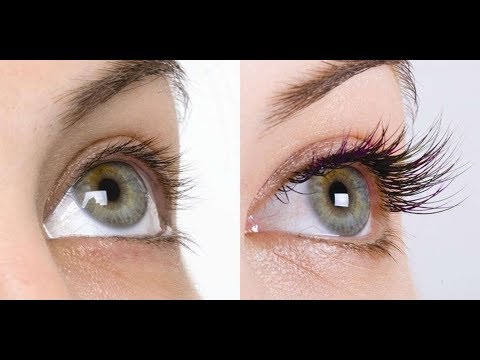 لايف ستايلتطويل وتكثيف الحواجب والرموش في يومين78492/0