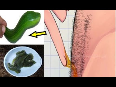 لايف ستايلبالفيديو: خيارة واحدة لتنظيف العانة والإبطين79638/0