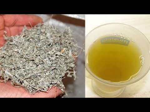 لايف ستايلشاهد: عشبة قادرة على قتل الخلايا السرطانية خلال أسبوعين79848/0