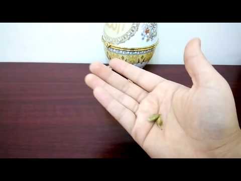 لايف ستايلحبه واحدة أمضغيها وانسي رائحة الفم المحرجة في دقيقة فقط80869/0