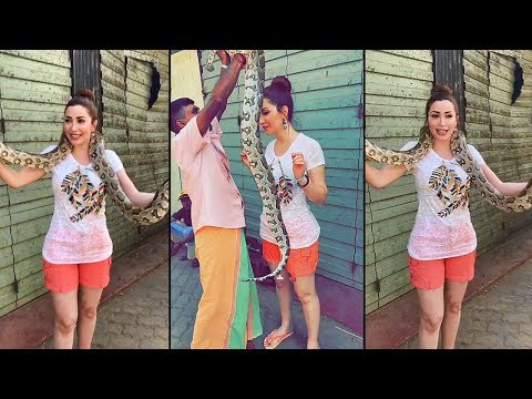 لايف ستايلشاهد: نسرين طافش في سريلانكا81240/0