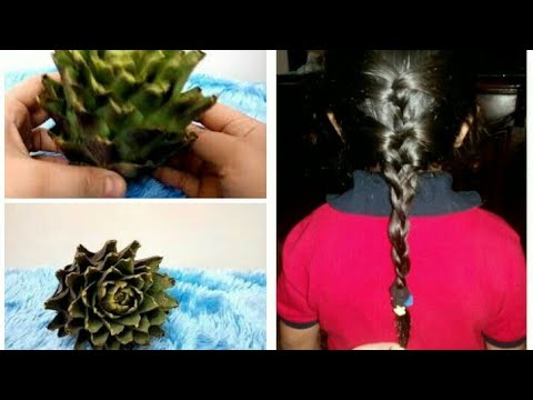 لايف ستايلبالفيديو: كيفية نمو الشعر بخرشوفة واحدة خلال أسبوع81850/0