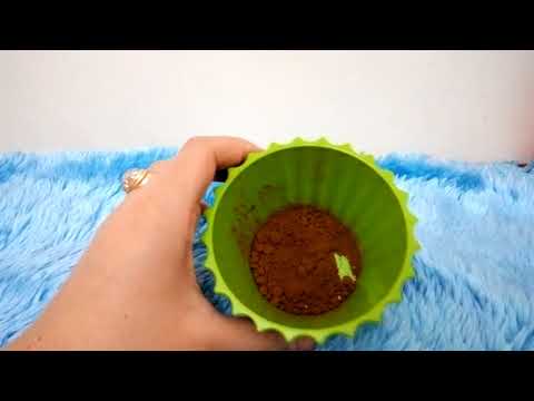 لايف ستايلمعلقة قهوة تساعد على الشعور بالشباب82949/0