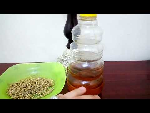 لايف ستايلأطيلي شعر بجنية في أسبوع ودون نقطة زيت83044/0