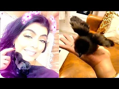 لايف ستايلشاهد: علياء الشمري تكشف طبيعة الضفضوف83510/0