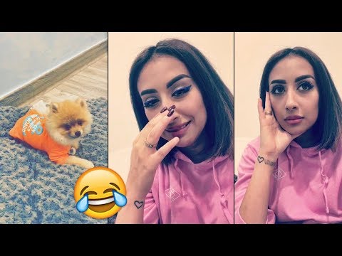 لايف ستايلفرح الهادي تبدي سعادتها بكلبها ستار83697/0