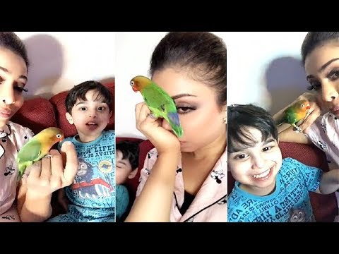 لايف ستايلشاهد: أبرار الكويتية تنشر لقطات طريفة مع ابنها84074/0