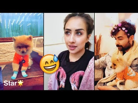 لايف ستايلفرح الهادي وعقيل يتشاجران بسبب اسم الطفل الجديد84226/0