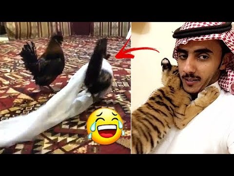 لايف ستايلأسامة الدغيري يدشّن مكياجًا مميّزًا لدجاجة84660/0