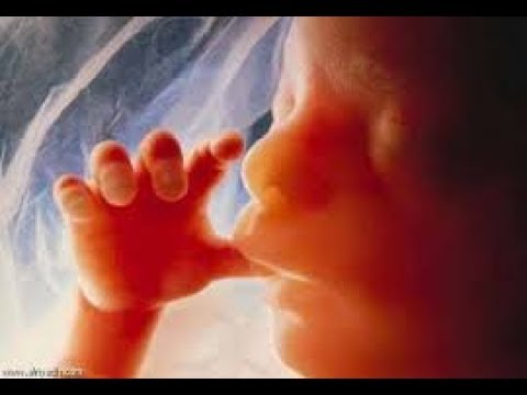 لايف ستايلشاهد: نصائح طبية للمرأة الحامل84976/0