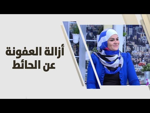 لايف ستايلسميرة الكيلاني توضح كيفية إزالة العفونة عن الحائط85254/0