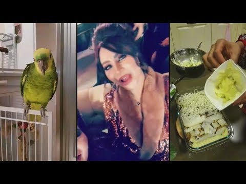 لايف ستايللجين عمران تطبخ لها وللعاملات وتلعب مع ببغائها كيوي85774/0