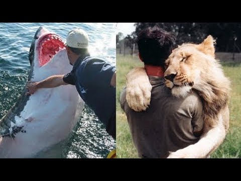 لايف ستايلأغرب الصداقات التي قامت بين "الأشخاص والحيوانات"85964/0