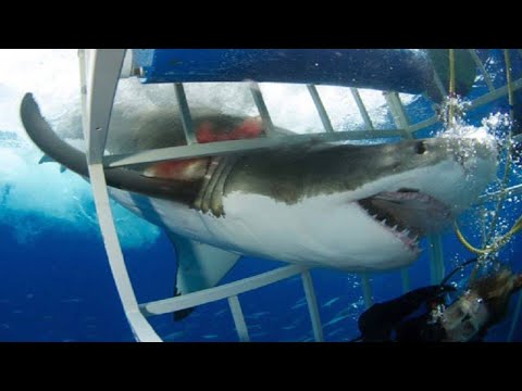 لايف ستايلأخطر 10 وجهات سياحية بالعالم85965/0