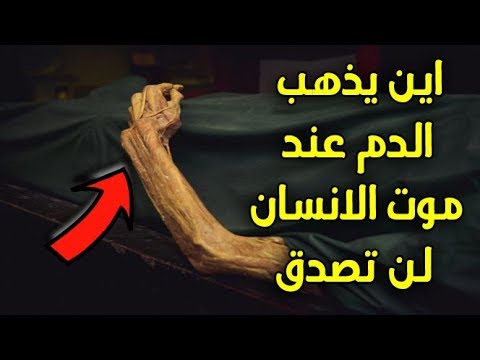 لايف ستايلشاهد| تعرف أين يذهب الدم عند موت الإنسان87412/0
