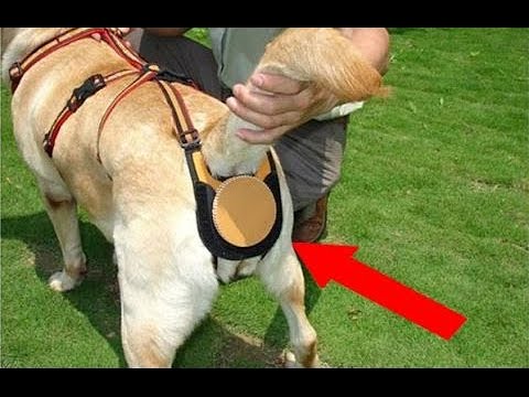 لايف ستايلشاهد: 5 اختراعات مجنونة عليك معرفتهم87621/0