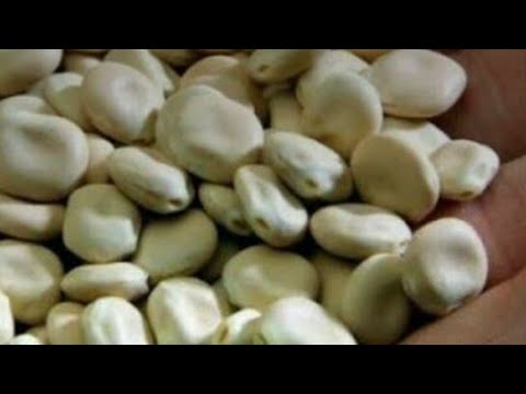 لايف ستايلشاهد: ملعقة واحده ستجعل الجميع في حيرة من صفاء بشرتك90450/0