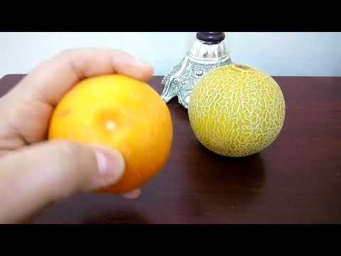 لايف ستايلشاهد: حكمة ربنا في تصنيف الفاكهة لفاكهة الشتاء والصيف91049/0