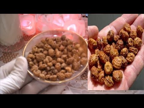 لايف ستايلشاهد: الحبوب الرهيبة لتكبير المؤخرة والحصول على أرداف جذابة91051/0