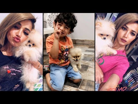 لايف ستايلشاهد: نهى نبيل تكشف عن زوجة لكلبها91154/0