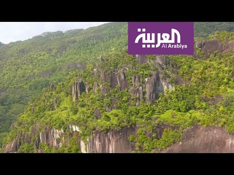 لايف ستايلتعرف على حديقة التوابل في جزر السيشل91607/0