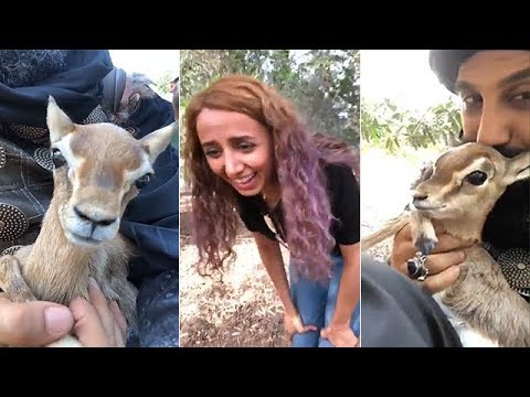 لايف ستايلشاهد: قصي الخولي في فيديو مع صغير الغزالة91617/0